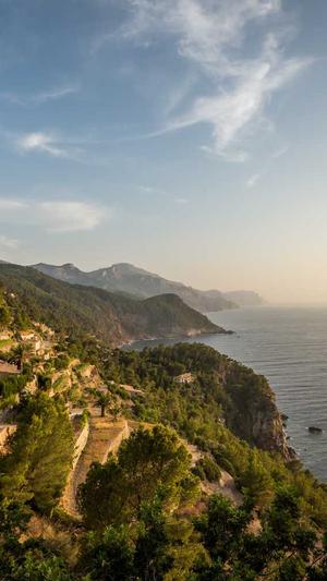 seo工具下载截图5