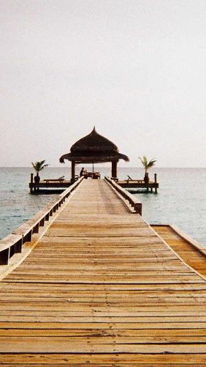 红蜘蛛池客户端截图3