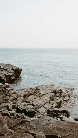 seo每天一贴截图4