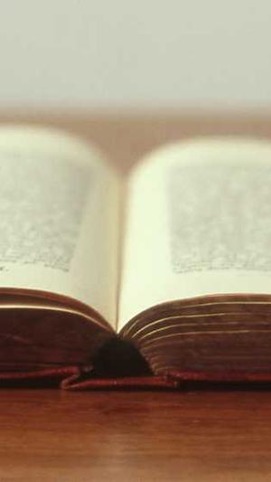 湖南seo优化截图3