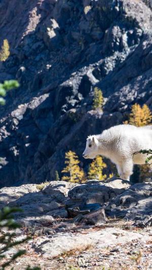 建设网站哪家好截图3