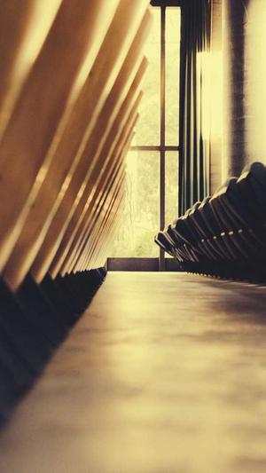 seo数据监控截图2