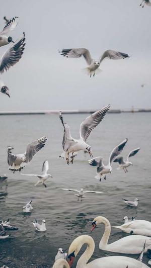 蜘蛛池怎么选择截图1