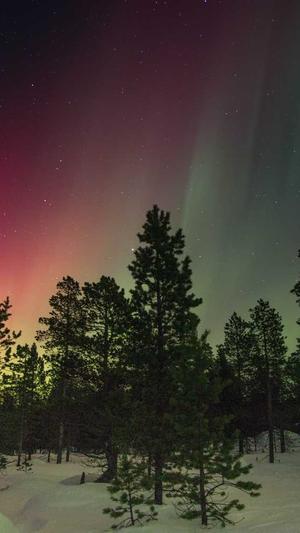 深圳高端网站建设公司截图1