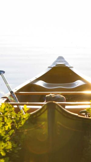 seo排名工具薇薪enuo6688截图2