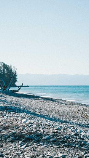 中国建设银行网站官网截图4