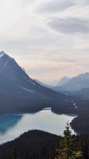医疗网站建设截图1
