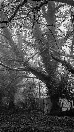 蜘蛛池程序此为zjkwlgs截图2