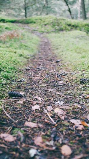 seo泛目录适合做什么站截图3