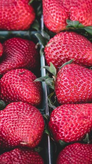 郑州seo服务截图1