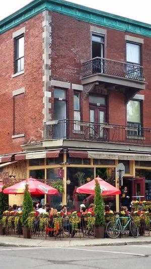 泛目录网站有什么用截图2