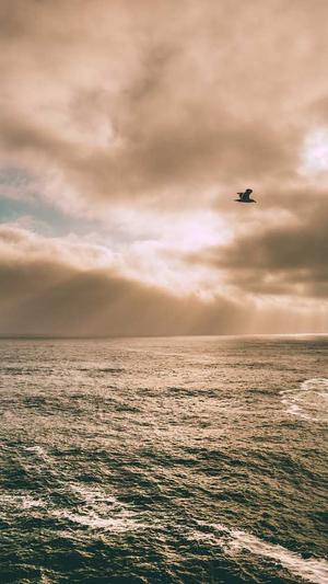 百度权重蜘蛛池出租截图3