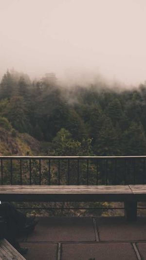 pc网站建设截图2