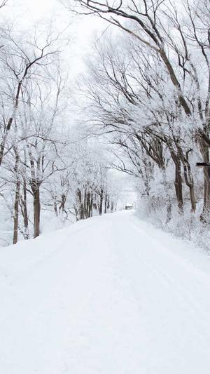 三门峡网站建设截图4