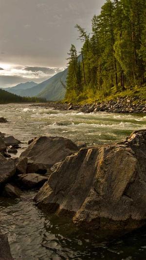 网站建设类截图1