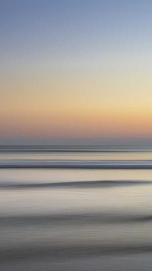 利用站群做蜘蛛池截图2