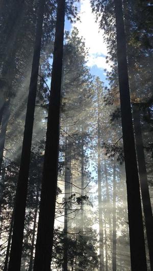 小说泛目录截图3