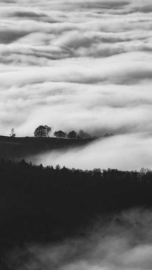 蜘蛛池合作商截图1