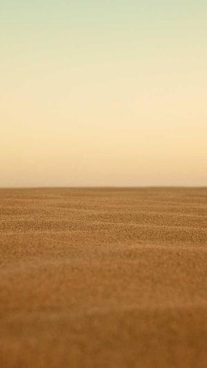 泛目录要搭配蜘蛛池吗截图4